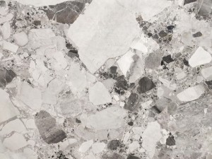 Fossils Grey Marble